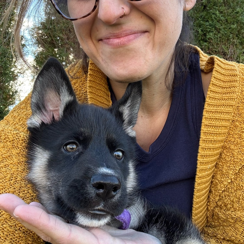 Meet Your Posher, Shawnie - Picture 2 of 8